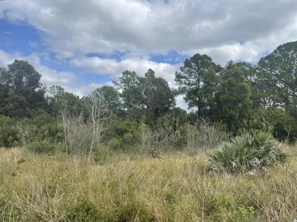 The Acreage, 15672 93rd St N, West Palm Beach, Florida 33412, image 1