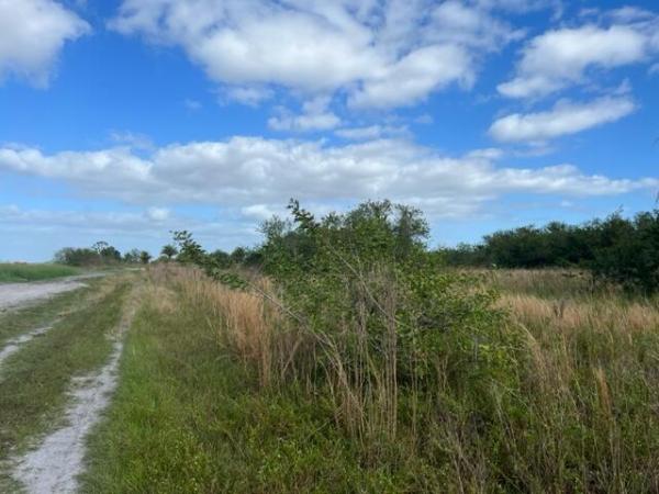 Santa Rosa Groves, Xxx Dennis St STREET, Loxahatchee, Florida 33470, image 2