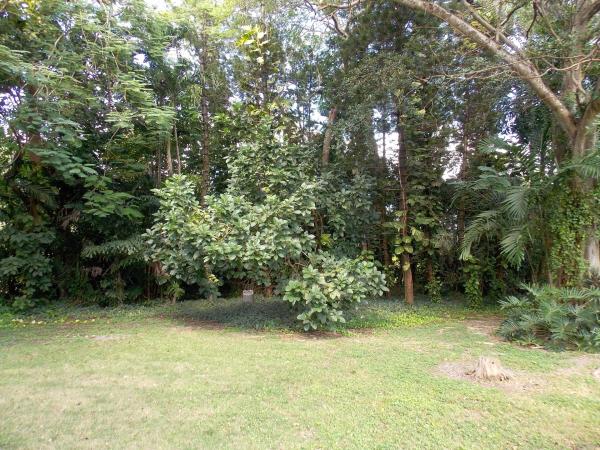 Sunset View, 8463 SW 68th St, Glenvar Heights, Florida 33143, image 2
