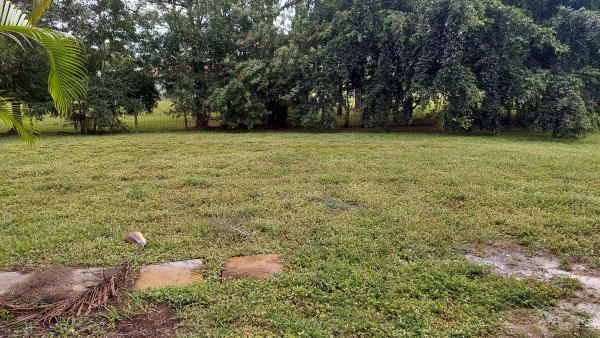 The Acreage, 17687 71st Ln N, Loxahatchee, Florida 33470, image 1