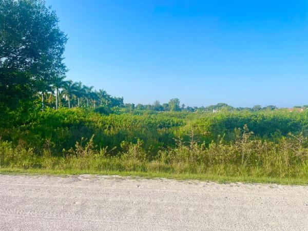 Rustic Ranches Estates, 16880 Rustic Rd, Wellington, Florida 33470, image 2
