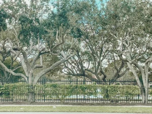 Sandalwood At Meridian Park, 3330 Meridian Way S #A, Palm Beach Gardens, Florida 33410, image 1