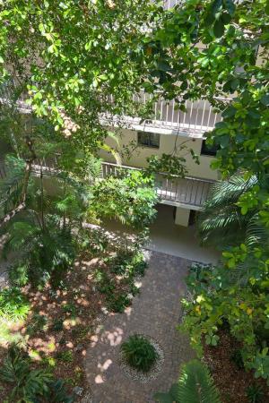Hidden Banyan, 1202 S Lake Dr #102, Lantana, Florida 33462, image 3