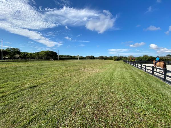Palm Beach Point, 15448 Sunnyland Ln, Wellington, Florida 33414, image 1