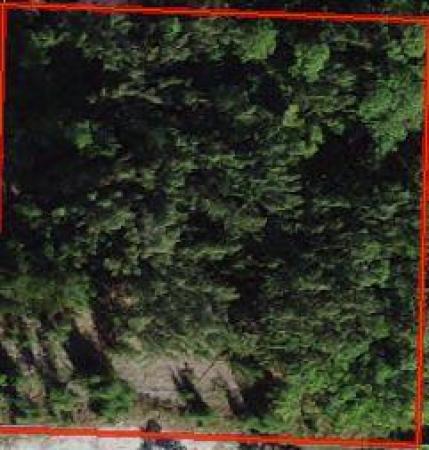 The Acreage, 17107 W Sycamore Dr, Loxahatchee, Florida 33470, image 1