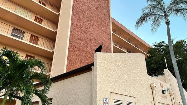 Bonaire Village, 14575 Bonaire Blvd #310, Delray Beach, Florida 33446, image 1