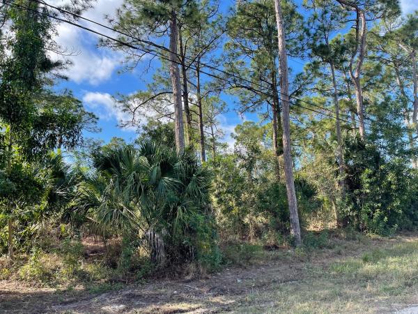 The Acreage Residential, M-153 63rd Rd ROAD, The Acreage, Florida 33470, image 2