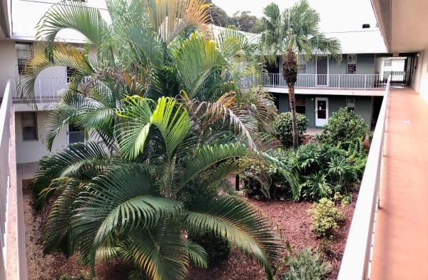 Inlet House, 2302 Sunrise Blvd #203, Fort Pierce, Florida 34982, image 3