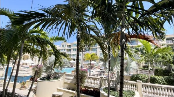 Palmetto Place, 99 SE Mizner Blvd #736, Boca Raton, Florida 33432, image 1