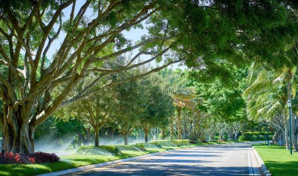Larkspur Landing, 7716 Bougainvillea Ct, West Palm Beach, Florida 33412, image 3
