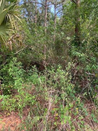 The Acreage, 14232 87th St N, Loxahatchee, Florida 33470, image 1