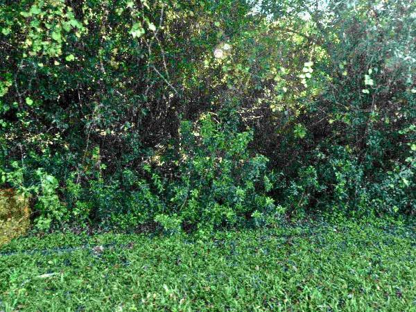Sandpiper Bay, 1702 SE Ebb Ct, Port St. Lucie, Florida 34952, image 1