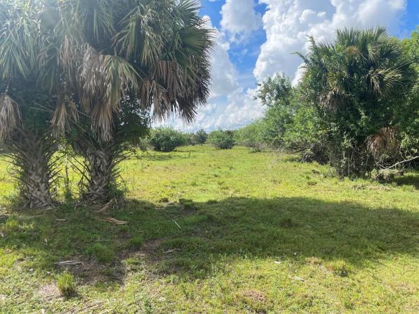 Santa Rosa Groves, Tbd Antoinette Rd, Loxahatchee, Florida 33470, image 1