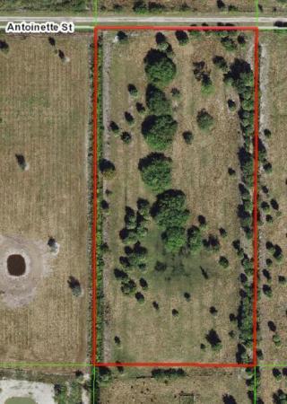 Santa Rosa Groves, 20642 Antoinette St, Loxahatchee, Florida 33470, image 2