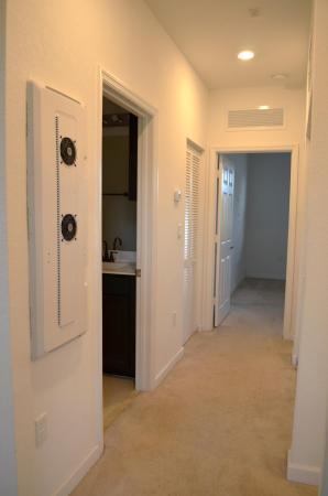 Horizon At Celebration, 5453 NW 27th Ct, Margate, Florida 33063, image 1