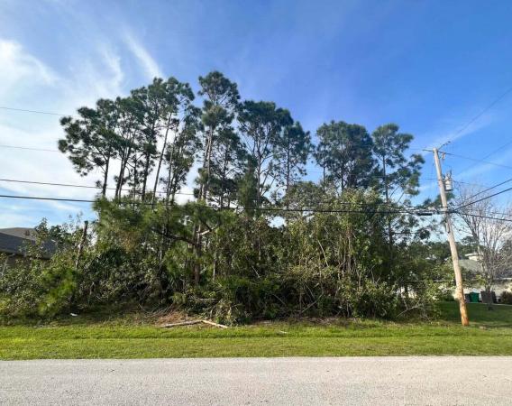 Torino, 5833 NW Wesley Rd, Port St. Lucie, Florida 34986, image 1