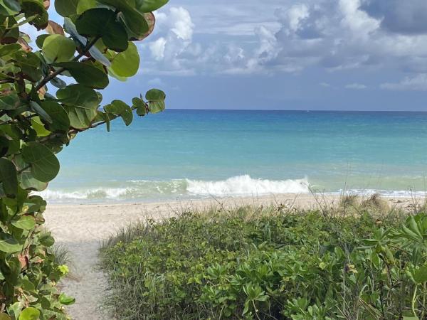 Surfside Hills, 460 Surfside Ln, Juno Beach, Florida 33408, image 1