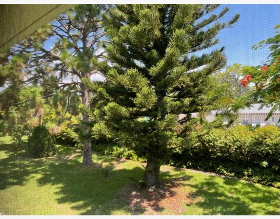 Sabal Pine, 2600 SW 22nd Ave #906, Delray Beach, Florida 33445, image 2
