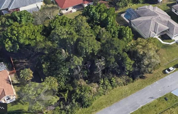 Oak Hammock, 1929 SW Glenco St, Port St. Lucie, Florida 34953, image 2