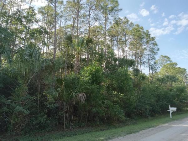 Jupiter Farms, 16613 96th Ter N, Jupiter, Florida 33478, image 1