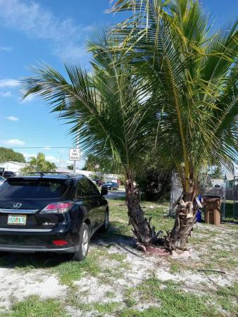 Fairlawn, 1 SE 15th St, Deerfield Beach, Florida 33441, image 1