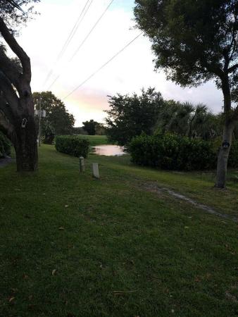 Shadywoods 2, 4077 Palm Forest Dr N, Delray Beach, Florida 33445, image 1