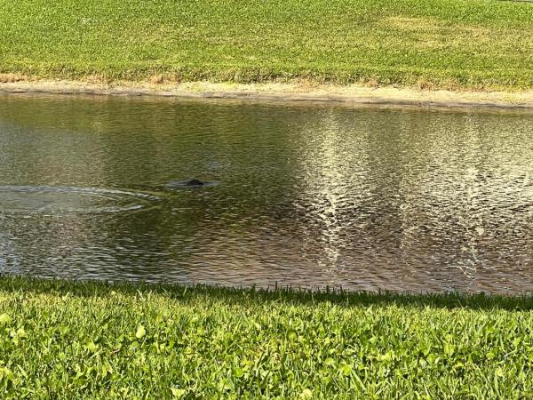 Lakeview Greens, 3011 W Linton Blvd #210D, Delray Beach, Florida 33445, image 2
