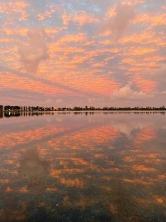 Lake Emerald, 111 Lake Emerald Dr #109, Oakland Park, Florida 33309, image 1