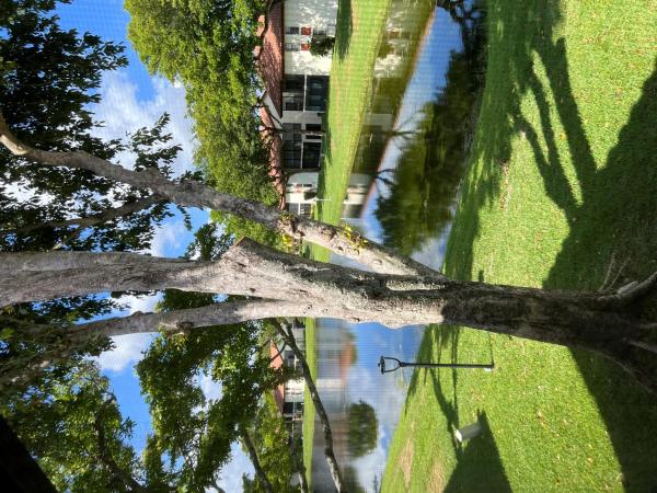 Palm Chase, 10787 Palm Lake Ave #201, Boynton Beach, Florida 33437, image 1