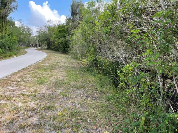 Deer Run, 2262 Prairieview Dr, The Acreage, Florida 33470, image 1