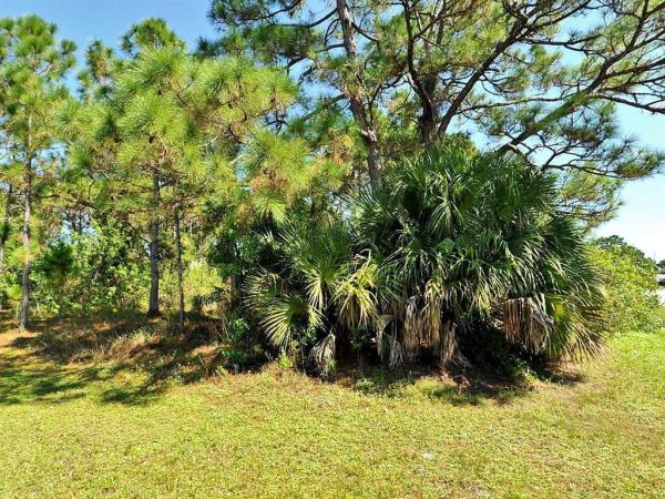 Torino, 5337 NW Arno Ct, Port St. Lucie, Florida 34986, image 2
