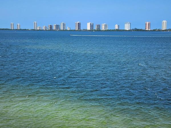 Lake Harbour Towers North, 501 Lake Shore Dr #604, Lake Park, Florida 33403, image 1
