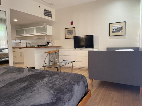 The Mercury South Beach, 100 Collins Ave #207, Miami Beach, Florida 33139, image 3