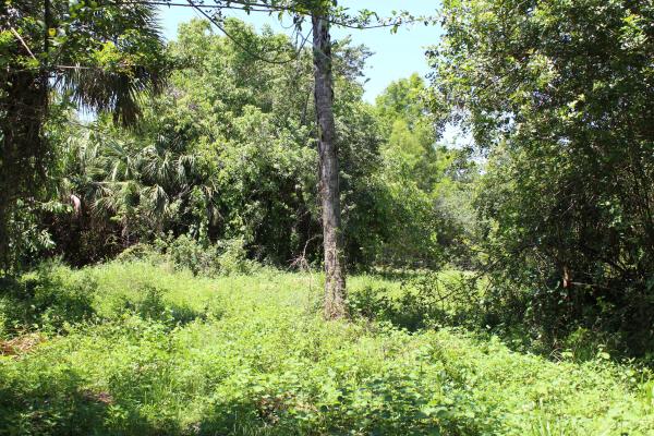 Loxahatchee Groves Residential, 3509 C Rd, Loxahatchee Groves, Florida 33470, image 2