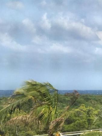 Jupiter Bay East, 275 Palm Ave #C503, Jupiter, Florida 33477, image 1