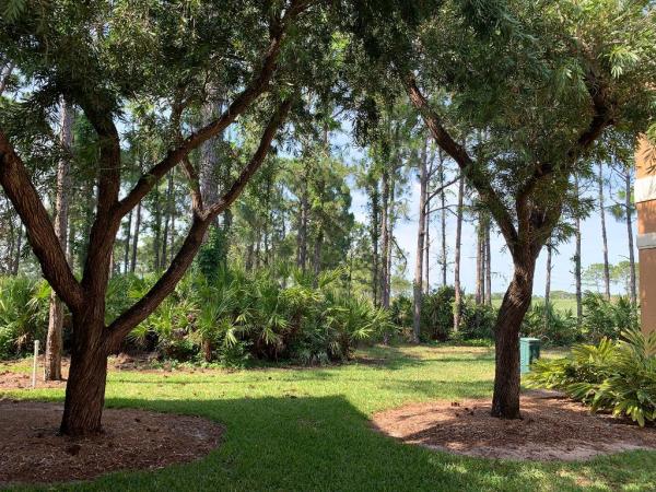 Castle Pines, 8930 Sandshot Ct #5011, Port St. Lucie, Florida 34986, image 1