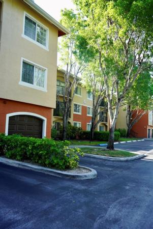 The Grand Isles, 4159 N Haverhill Rd #1319, West Palm Beach, Florida 33417, image 1