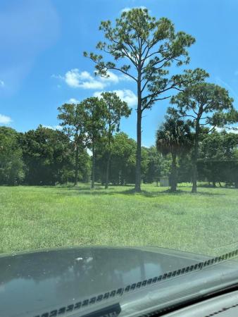 Loxahatchee Groves Residential, 3761 C Rd, Loxahatchee Groves, Florida 33470, image 1