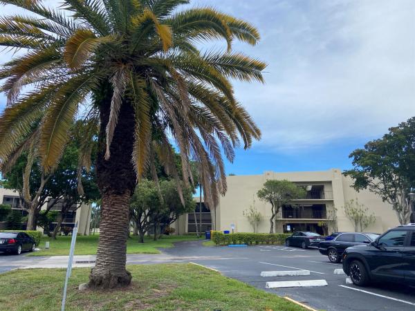 Palmetto At Las Verdes, 5220 Las Verdes Cir #209, Delray Beach, Florida 33484, image 1