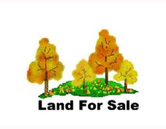 Woodland Trails, 1216 SW Becker Rd, Port St. Lucie, Florida 34953, image 1