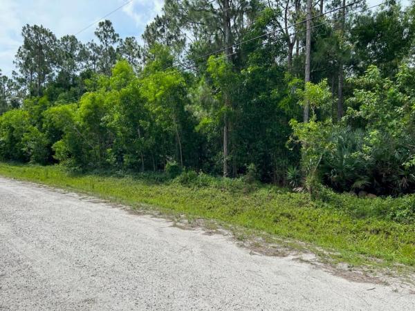 The Acreage Residential, Xx 87th St, The Acreage, Florida 33412, image 2