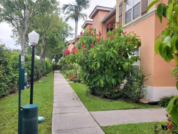 Rosemont, 3569 Forest Hill Blvd #115, Palm Springs, Florida 33406, image 2