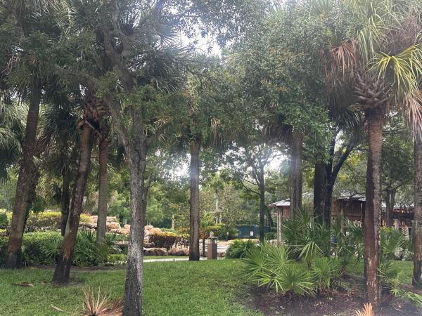 Parkview Gardens At Royal Palm Beach, 120 Sparrow Dr #102, Royal Palm Beach, Florida 33411, image 1