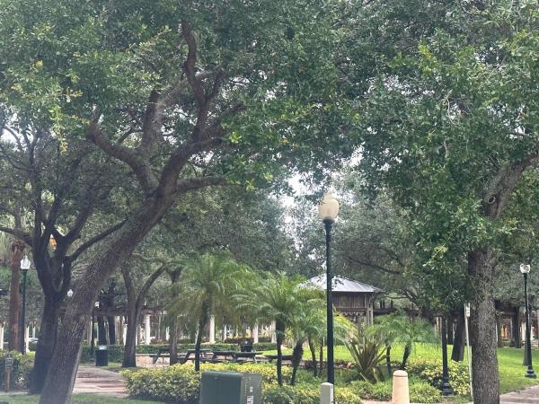 Parkview Gardens At Royal Palm Beach, 120 Sparrow Dr #102, Royal Palm Beach, Florida 33411, image 3