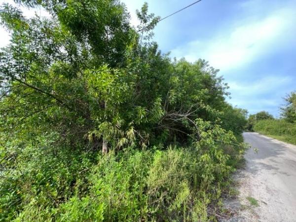 Wildwood, 4770 Windmill Rd ROAD, Loxahatchee, Florida 33470, image 2