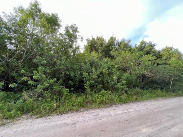 Wildwood, 4770 Windmill Rd ROAD, Loxahatchee, Florida 33470, image 1