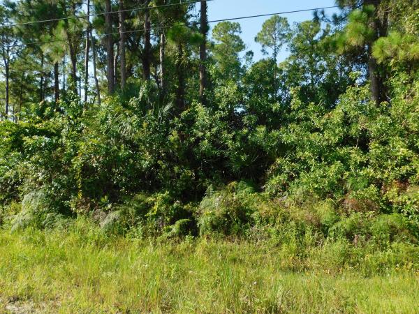 The Acreage, 16184 90th St N, Loxahatchee, Florida 33470, image 1