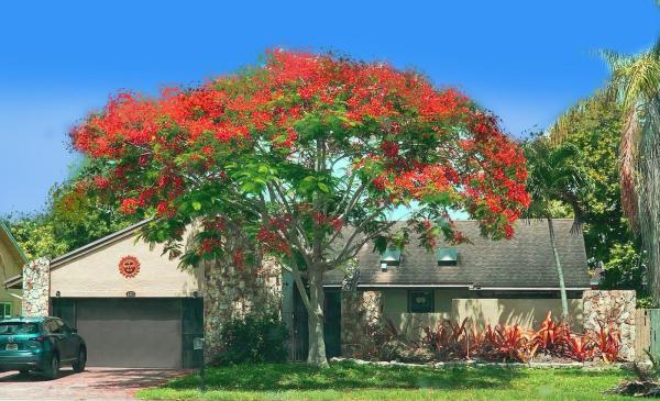 The Estates Of Inverrary, 4421 NW 70th Ave, Lauderhill, Florida 33319, image 1