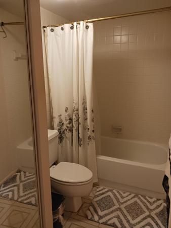 Lago Lucerne, 3956 August Dr, Lake Worth, Florida 33461, image 3