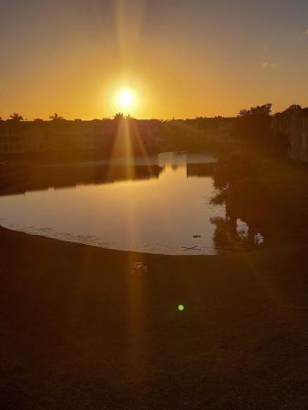 Sunrise Lakes 2, 8110 Sunrise Lakes Blvd #302, Sunrise, Florida 33322, image 1